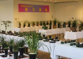 2025年3月　東洋蘭・雪割草展示会2